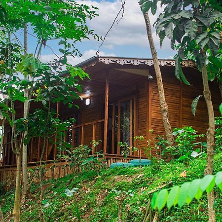הוילה Rio do Ouro Eco-Por מראה חיצוני תמונה