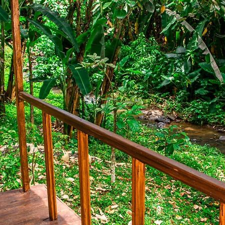 הוילה Rio do Ouro Eco-Por מראה חיצוני תמונה