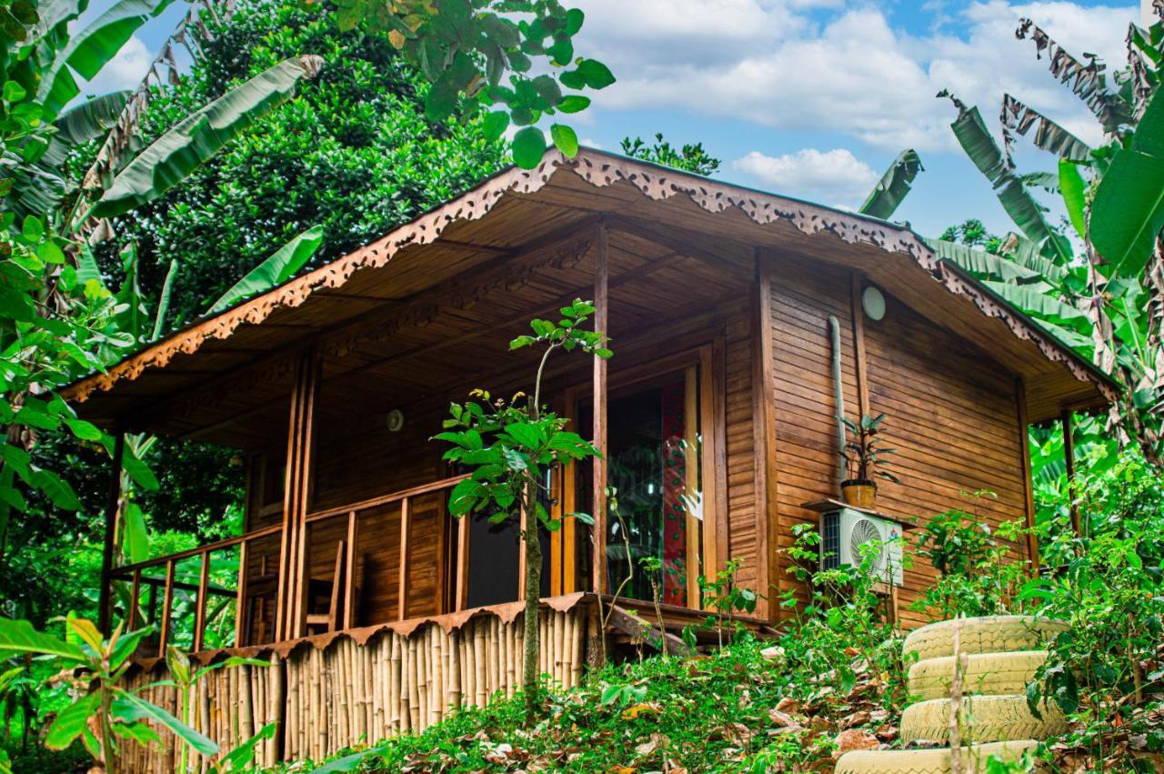 הוילה Rio do Ouro Eco-Por מראה חיצוני תמונה
