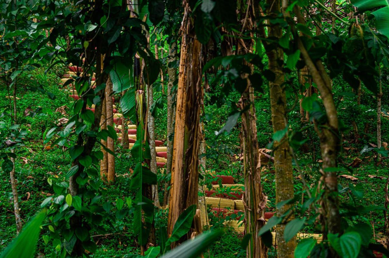 הוילה Rio do Ouro Eco-Por מראה חיצוני תמונה