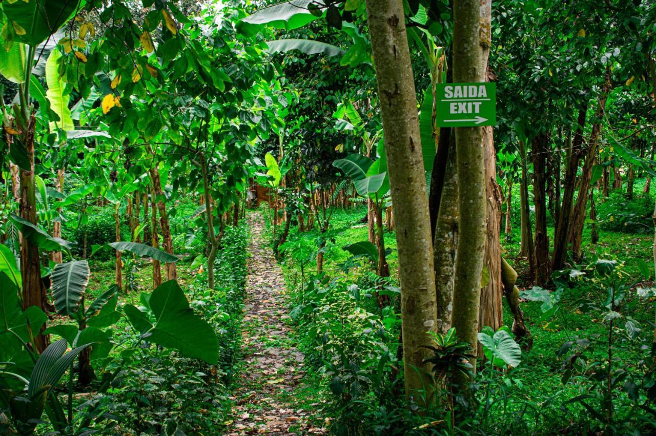 הוילה Rio do Ouro Eco-Por מראה חיצוני תמונה