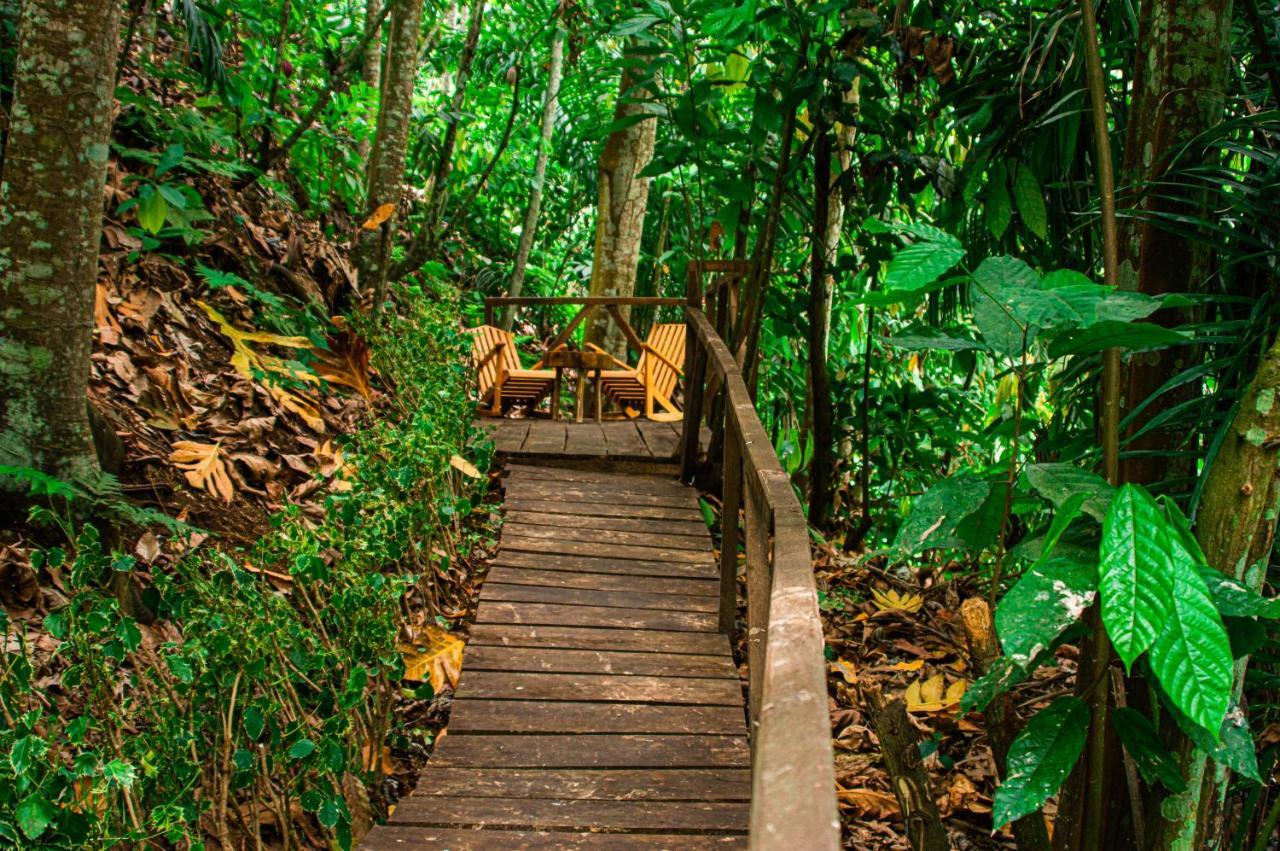 הוילה Rio do Ouro Eco-Por מראה חיצוני תמונה