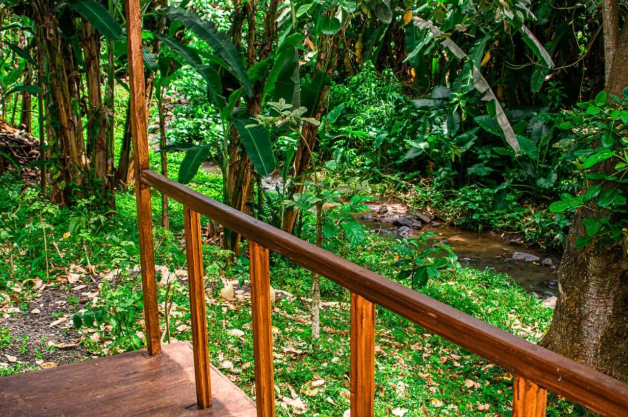 הוילה Rio do Ouro Eco-Por מראה חיצוני תמונה