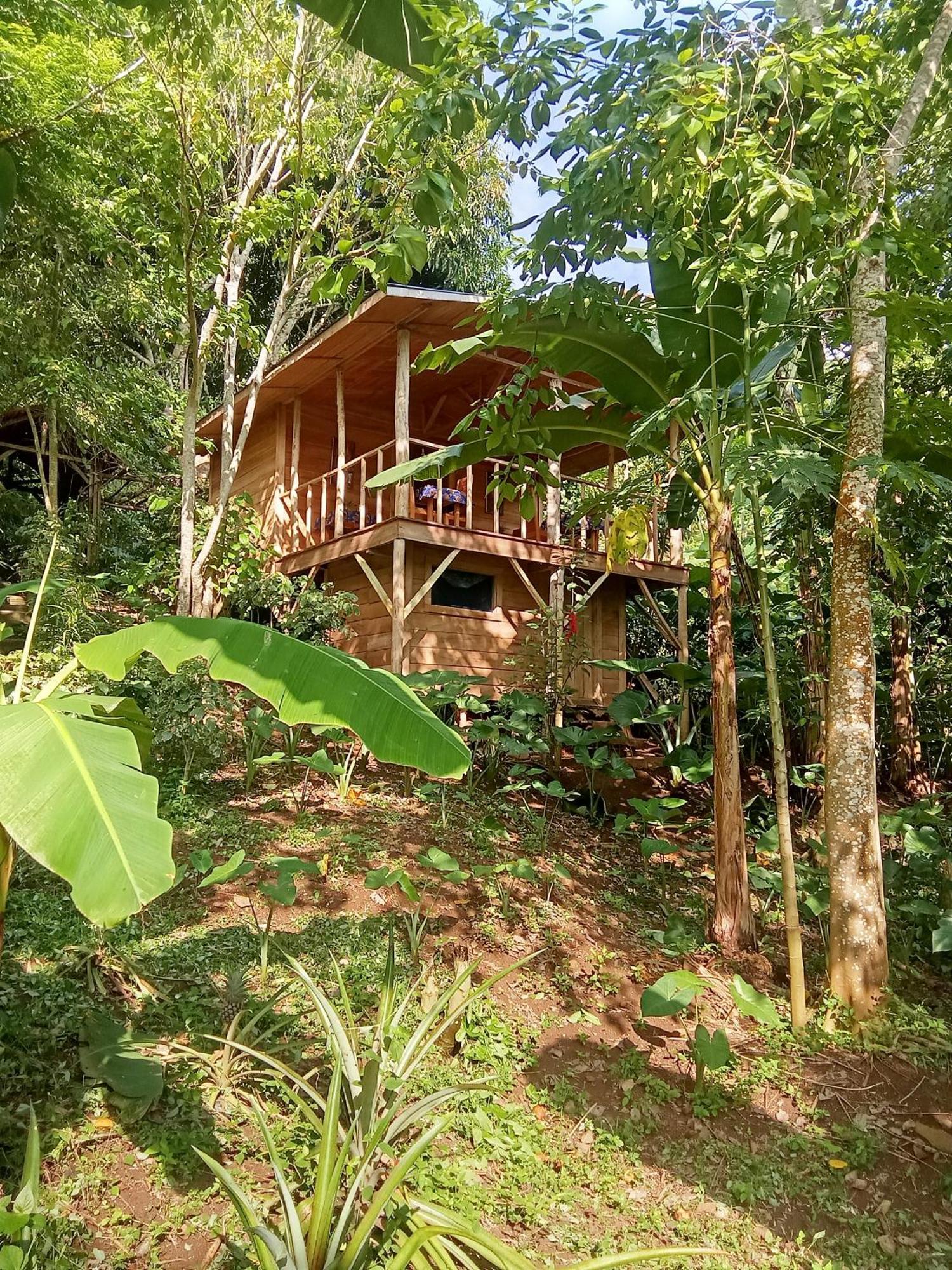 הוילה Rio do Ouro Eco-Por מראה חיצוני תמונה